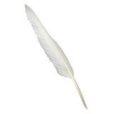 White Quill Feather